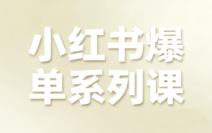 尼采老师·小红书爆单系列课-精品虚拟资源库