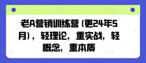 老A营销训练营(更25年10月),轻理论,重实战,轻概念,重本质-精品虚拟资源库