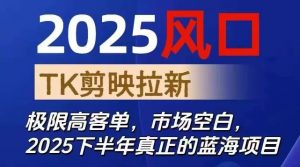 2025风口TK剪映capcut拉新项目,极限高客单,市场空白,2025下半年真正的蓝海项目-精品虚拟资源库