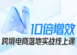 法老Pharaoh·跨境电商10倍增效,AI落地实战课-精品虚拟资源库