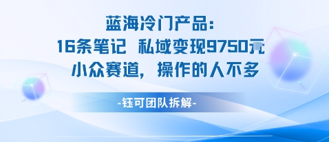 蓝海项目：16条笔记私域变现9750米小众赛道操作的人不多-精品虚拟资源库