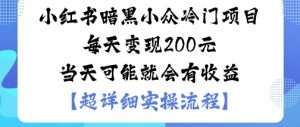 小红书暗黑小众冷门项目每天变现2张当天可能就会有收益-精品虚拟资源库