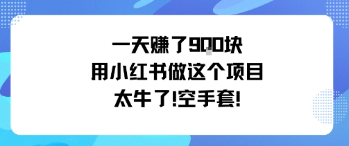 一天挣了9张用小红书做这个项目太牛了，空手套-精品虚拟资源库