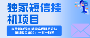 2025全新电脑挂机项目  操作简单，单机当天收益1000+，收益无上限，可...-精品虚拟资源库