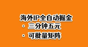 海外ip全自动掘金,2025必做蓝海项目,3分钟落地,矩阵直接开干【揭秘】-精品虚拟资源库