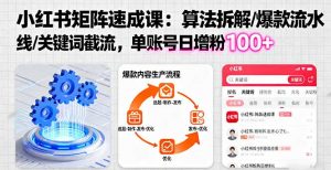 小红书矩阵起号速成课：算法拆解/爆款流水线/关键词截流 单账号日增粉100+-精品虚拟资源库