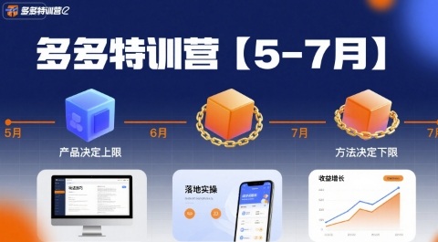 多多特训营，产品决定上限，方法决定下限，各种玩法技巧落地实操(更新)-精品虚拟资源库