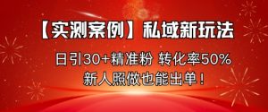 【实测案例】私域新玩法,日引30+精准粉,转化率50%,新人照做也能出单!-精品虚拟资源库