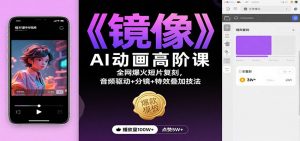 《镜像》AI动画高阶课:全网爆火短片复刻,音频驱动+分镜+特效叠加技法-精品虚拟资源库