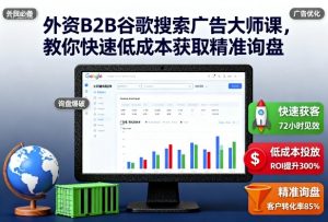 外资B2B谷歌搜索广告大师课,教你快速低成本获取精准询盘-精品虚拟资源库