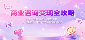 商业咨询变现全攻略:销售、营销思维,引流锁客,海报制作,快速打造私域赚钱模式-精品虚拟资源库