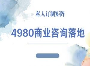4980商业咨询师落地课程-ip运营高客单教程-精品虚拟资源库