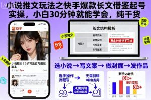 小说推文玩法之快手爆款长文借鉴起号实操，小白30分钟就能学会，纯干货-精品虚拟资源库