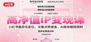 高净值IP变现课：小红书差异化定位，文案点赞成金， AI高效做短视频-精品虚拟资源库