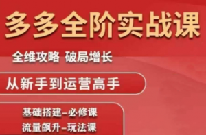 大炮·拼多多全阶实战课程(更新10月)-精品虚拟资源库