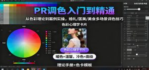 PR调色入门到精通：从色彩理论到案例实操，婚礼/医美/美食多场景调色技巧-精品虚拟资源库
