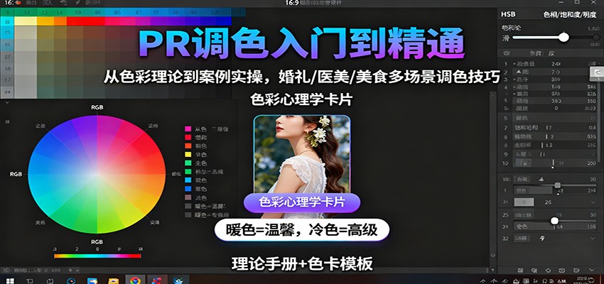 PR调色入门到精通：从色彩理论到案例实操，婚礼/医美/美食多场景调色技巧-精品虚拟资源库
