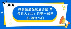 微头条最强玩法介绍一个号日入5张+只要一部手机适合小白-精品虚拟资源库