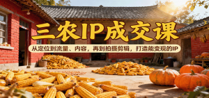 三农IP成交课：从定位到流量、内容，再到拍摄剪辑，打造能变现的IP-精品虚拟资源库