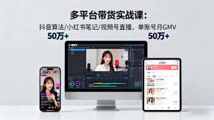 多平台带货实战课18.0：抖音算法/小红书笔记/视频号直播，单账号月GMV50w+-精品虚拟资源库