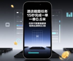 酒店截图任务，15秒完成一单，一单0.6米，任务不限量随便接，矩阵拉满单日3张【揭秘】-精品虚拟资源库