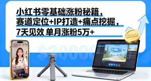 小红书零基础涨粉秘籍，赛道定位+IP打造+痛点挖掘，7天见效 单月涨粉5万+-精品虚拟资源库