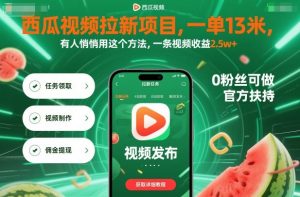 西瓜视频拉新项目，一单13米，有人悄悄用这个方法，一条视频收益2.5w+(附详细教程)-精品虚拟资源库