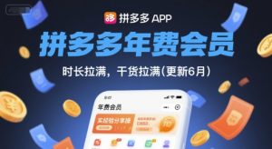 拼多多年费会员,实经验分享操,时长拉满,干货拉满(更新10月)-精品虚拟资源库