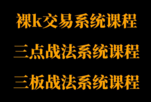 半山猎人三套系统课程(裸K体系、三点体系、三板体系)-精品虚拟资源库