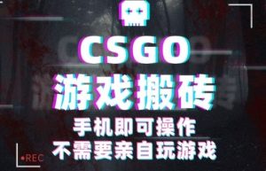 CSGO游戏挂G捡漏，单日扫货5张+，年底小高峰上车可吃肉，手机即可操作，兼职副业创业网创【揭秘】-精品虚拟资源库