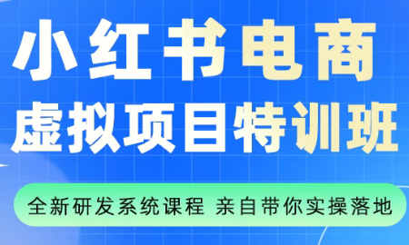 陆明明·小红书虚拟项目特训班(更新9月)-精品虚拟资源库