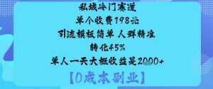 私域冷门赛道:单个收费198米引流模板简单人群精准转化45%单人一天大概收益是1k+-精品虚拟资源库