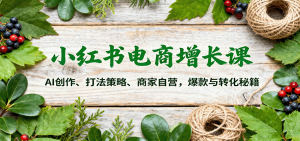 小红书电商增长课:AI创作、打法策略、商家自营,爆款与转化秘籍-精品虚拟资源库