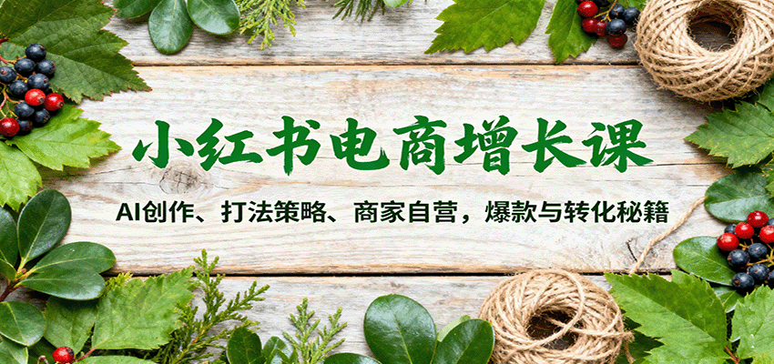 小红书电商增长课：AI创作、打法策略、商家自营，爆款与转化秘籍-精品虚拟资源库