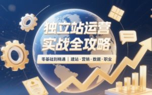2025独立站运营实战全攻略-精品虚拟资源库