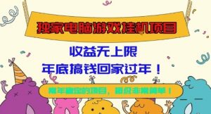 独家电脑游戏挂G项目，常年稳定，收益无上限，年底搞钱回家过年【揭秘】-精品虚拟资源库