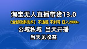 淘宝无人直播13.0,公域私域技术,不封号,不违规 布局下半年旺季赛道,日入2000+-精品虚拟资源库