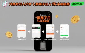 抖音发行人计划全新野路子玩法，随时随地，只要有手机，就能操作，日入1k+【揭秘】-精品虚拟资源库