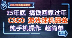 25年底搞钱回家过年,CSGO游戏挂机掘金,纯手机操作超简单-精品虚拟资源库