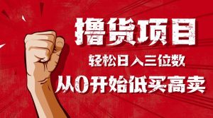 手把手教你撸货，从0开始低买高卖，小白轻松实现日入三位数!!!-精品虚拟资源库