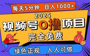 2025视频号0撸项目,5分钟一个号,日入1000+,人人可做-精品虚拟资源库