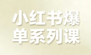 小红书爆单系列课，聚焦小红书电商全链路增长-精品虚拟资源库
