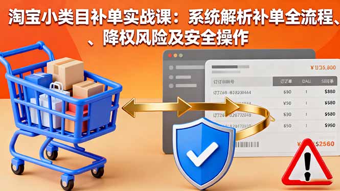 淘宝小类目补单实战课：系统解析补单全流程、降权风险及安全操作-精品虚拟资源库