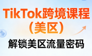 TikTok跨境课程(美区)-精品虚拟资源库