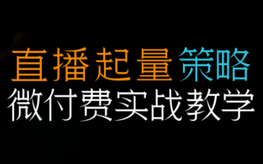 半野老师·直播带货起量与微付费必学课视频号(更新2026)-精品虚拟资源库