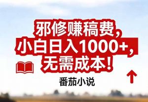 番茄小说赚稿费邪修玩法无需成本，真实日入1000+，超级简单！-精品虚拟资源库