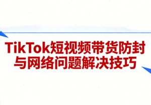 老谭·TikTok短视频带货实拍课程-精品虚拟资源库