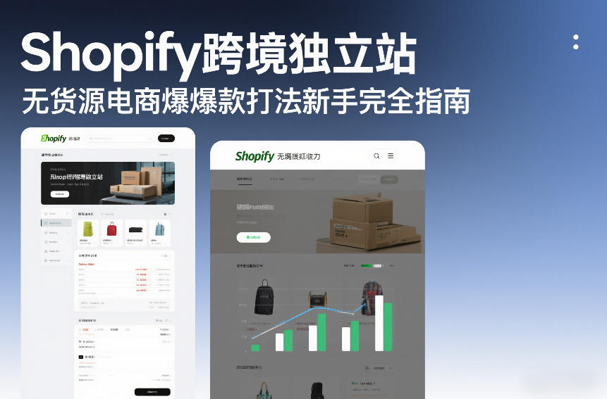 Shopify跨境独立站无货源电商爆款打法新手完全指南-精品虚拟资源库
