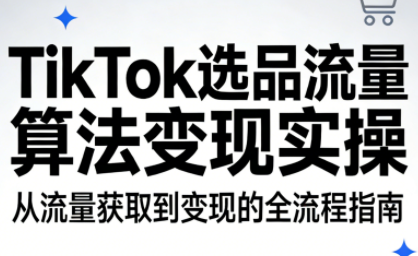 TikTok选品流量算法变现实操-精品虚拟资源库
