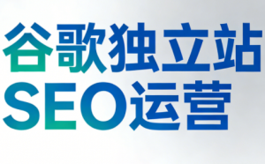 谷歌独立站SEO运营(更新2026)-精品虚拟资源库